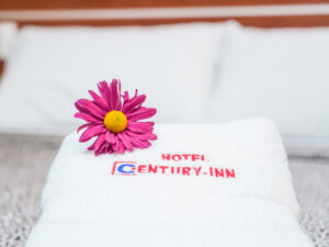 Hotel Century: Una Historia de Excelencia y Progreso en el Corazón de Lince