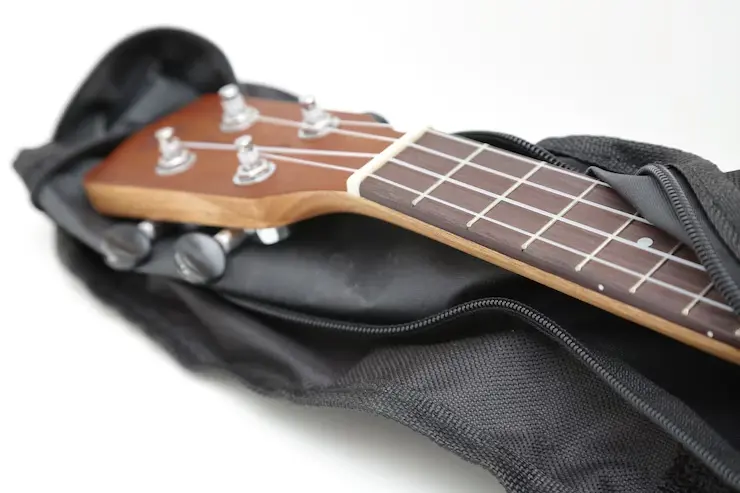 Estuche para guitarra