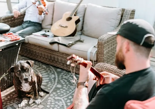 hombre tocando guitarra a un perro