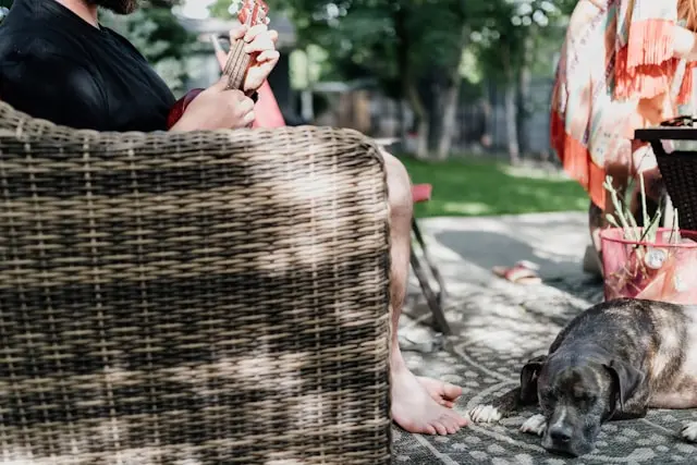 perro escuchando a un hombre tocar la guitarra