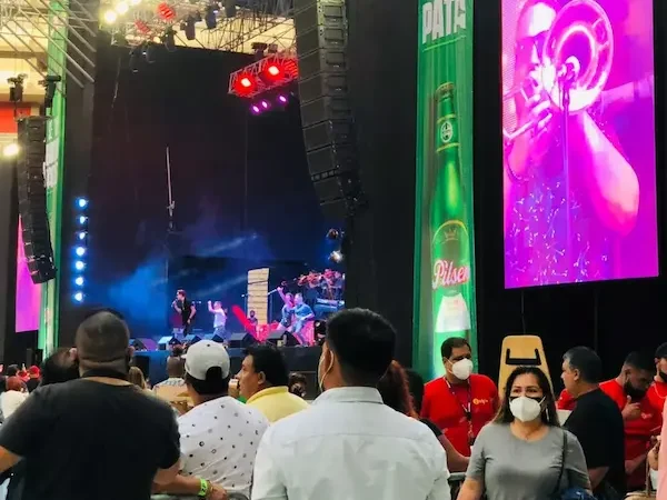 salsa toda la tarde