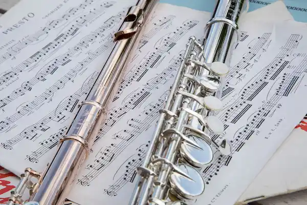 Instrumentos de viento