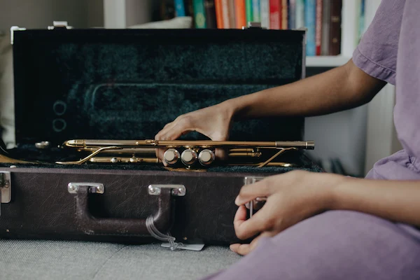 estuche para instrumentos musicales